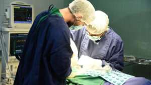 No início de maio, eram 380 pacientes aguardando por procedimentos cirúrgicos pelo sistema Regula Piauí. Em agosto, esse número caiu para 130 pacientes. (Foto: Clemilton Silva)
